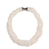 Something to Sink Your Teeth Into